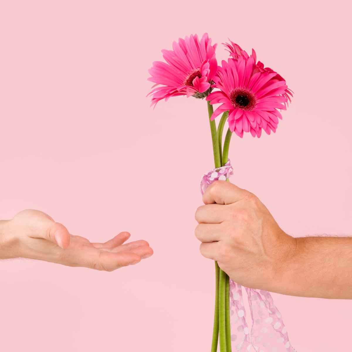 มอบดอกไม้