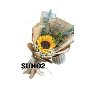 sun02