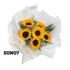 sun07
