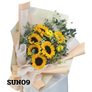 sun09